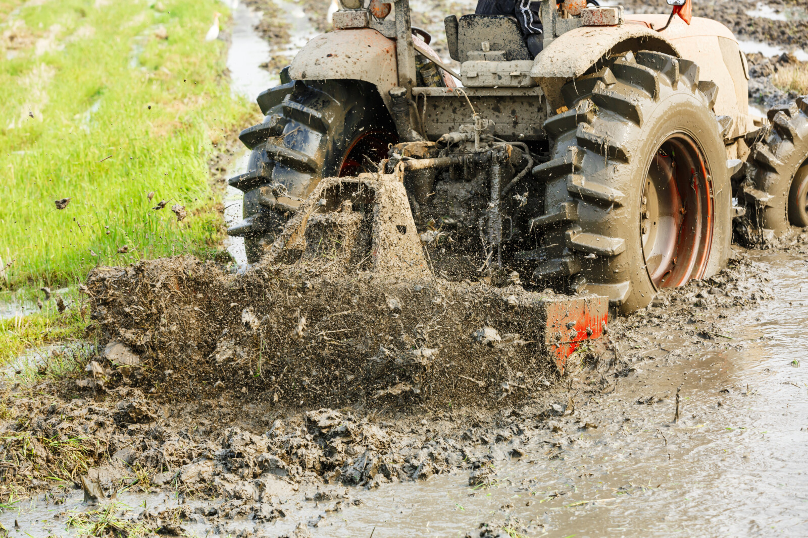 Tractor working wet ground where grading and land-leveling attachments are part of the operation